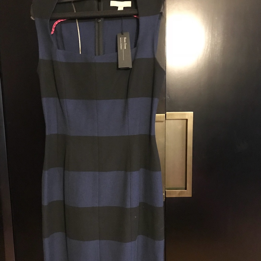 Banana Republic Rugby Stripe Dress